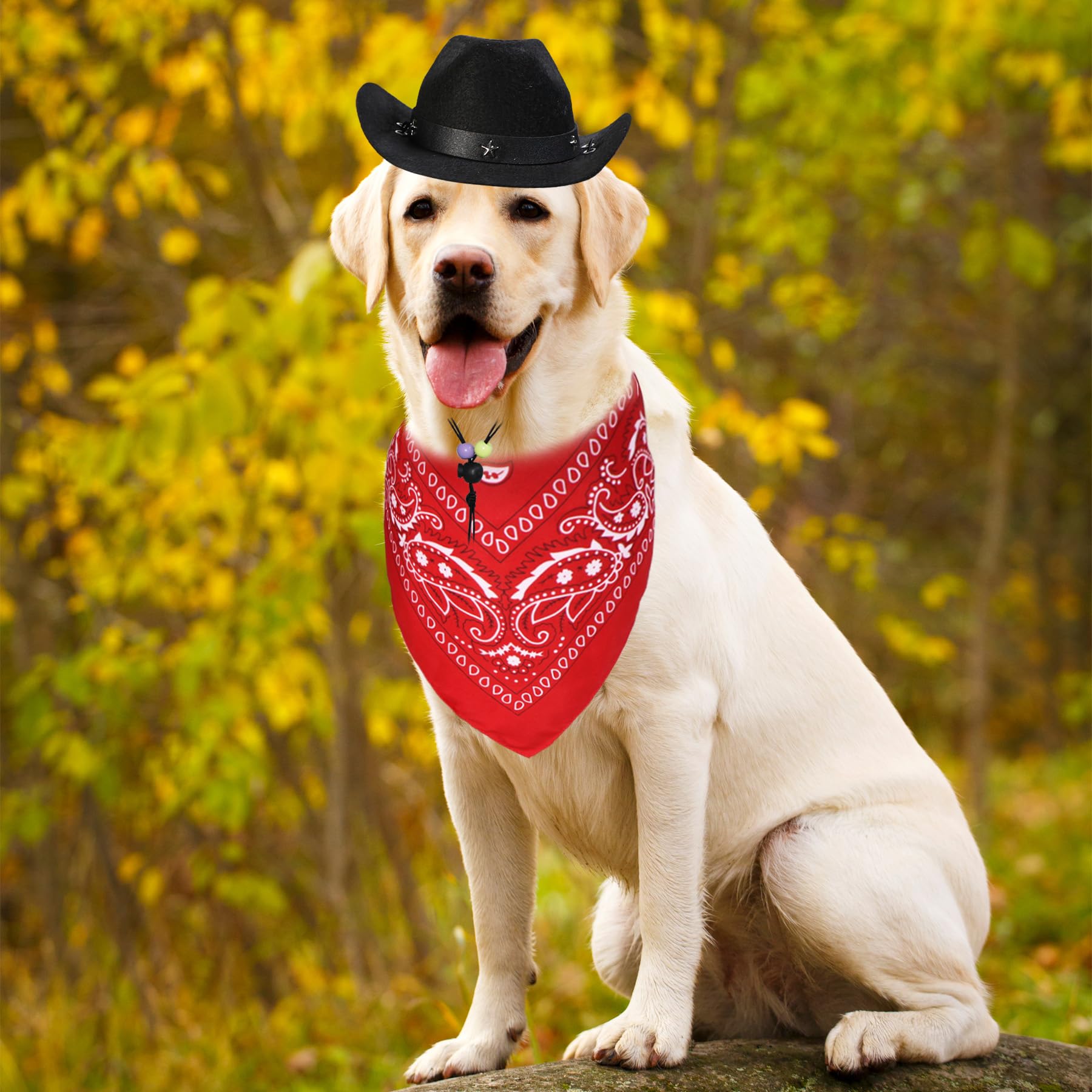 Funny Dog Cowboy Costume for Halloween - Cowboy Hat & Red Bandana Scarf for Small, Medium & Large Dogs | Perfect for Halloween Parties, Pet Parades & Photo Shoots (Black Hat & Red Bandana, Large)