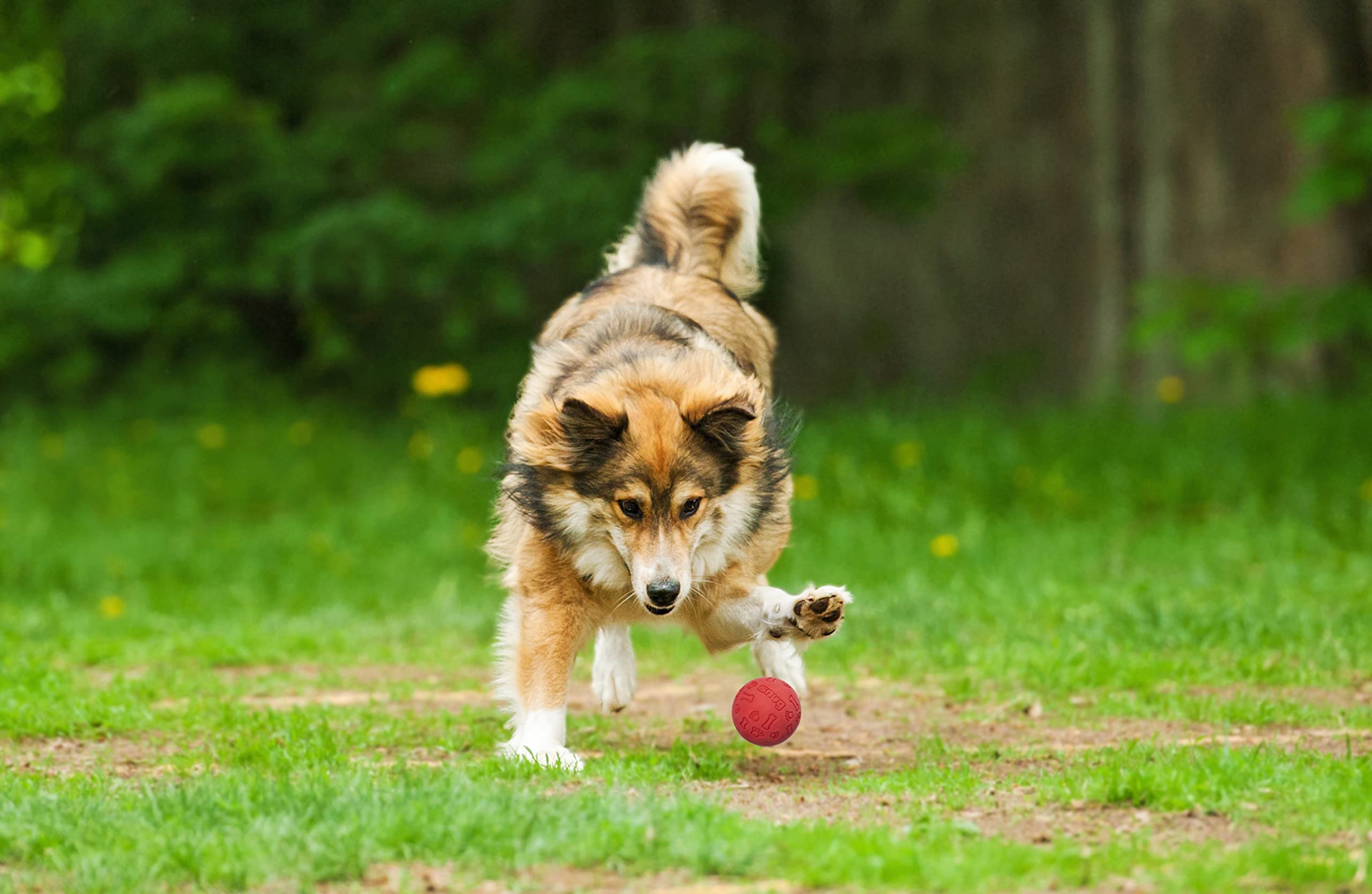 Durable Rubber Dog Balls for Small & Medium Dogs - Tennis Ball Size Chew Toys - Virtually Indestructible Pet Toy (3-Pack) - Perfect for Fetch, Training & Outdoor Play