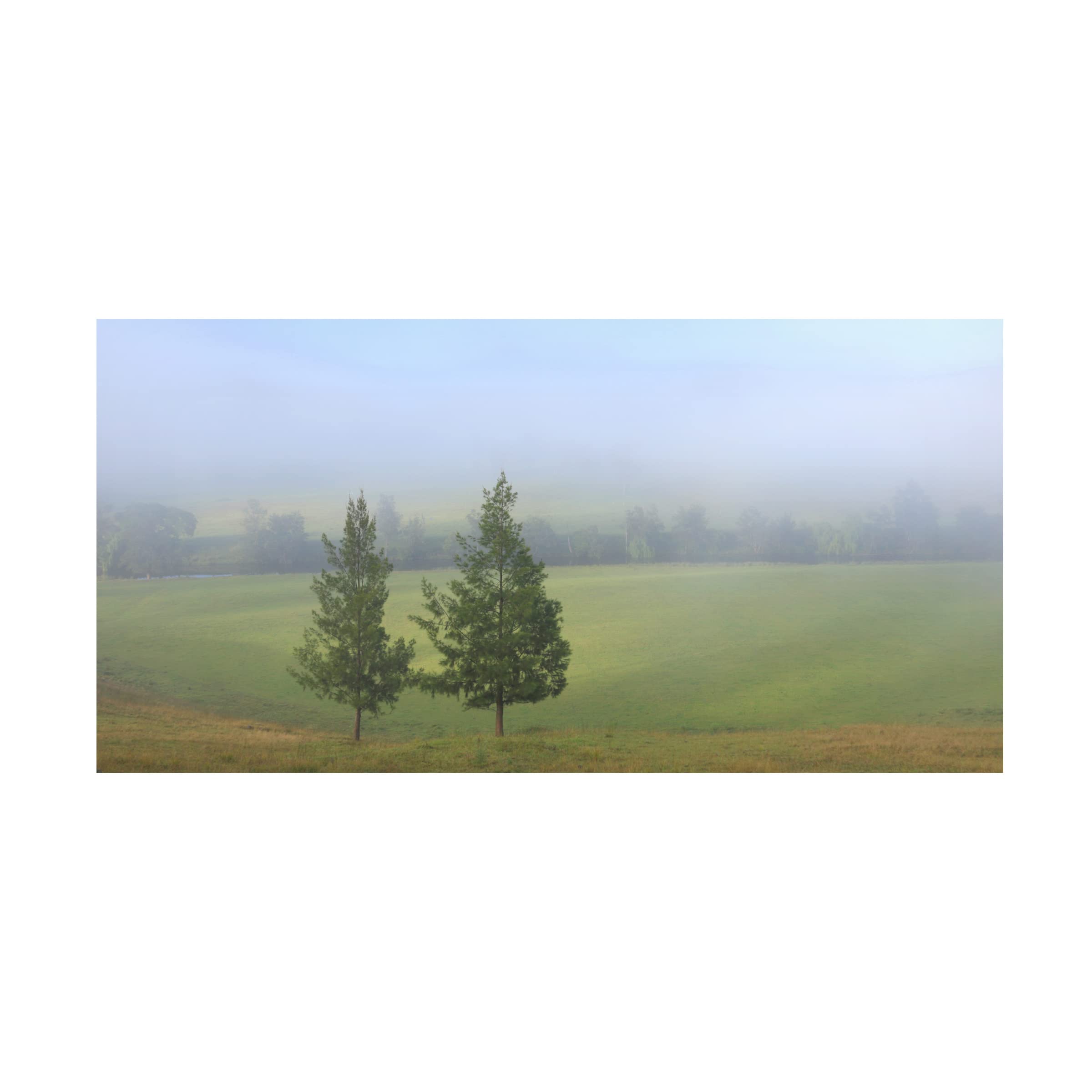 Trademark Fine Art 'Foggy Morning' Canvas Wall Art Print by Beata Czyzowska Young - Landscape Nature Painting for Living Room, Bedroom & Office Decor