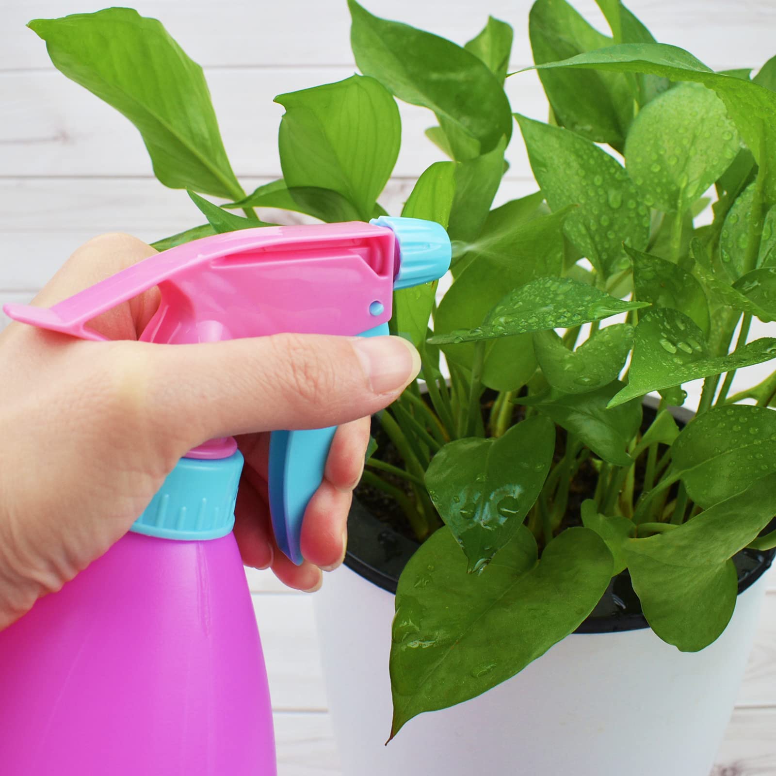 500ml Mist Spray Bottles 2-Pack - Leakproof Refillable Sprayer for Cleaning & Gardening