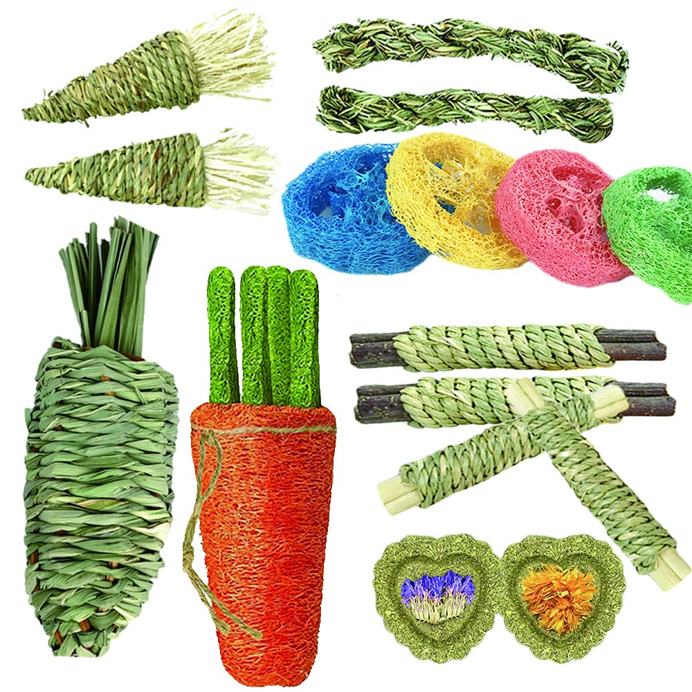16 PCS Rabbit Chew Toys for Small Pets - Natural Loofah Carrot Dental Toys for Hamsters, Rabbits & Guinea Pigs | Promotes Teeth Health & Digestion | Perfect Small Animal Gifts for Cage Enrichment & Playtime