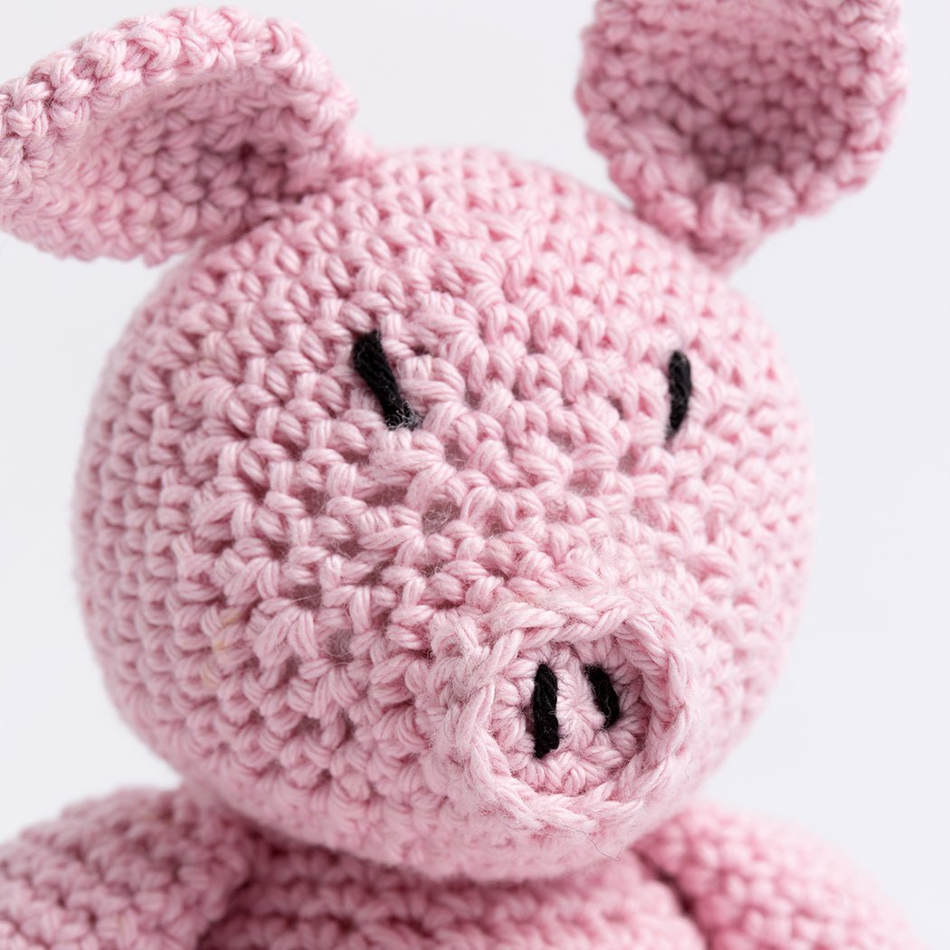 Little Piggy Crochet Kit for Beginners - DIY Amigurumi Pig Crocheting Set with Yarn, Hook & Instructions - Perfect for Crafting, Gifts & Home Decor