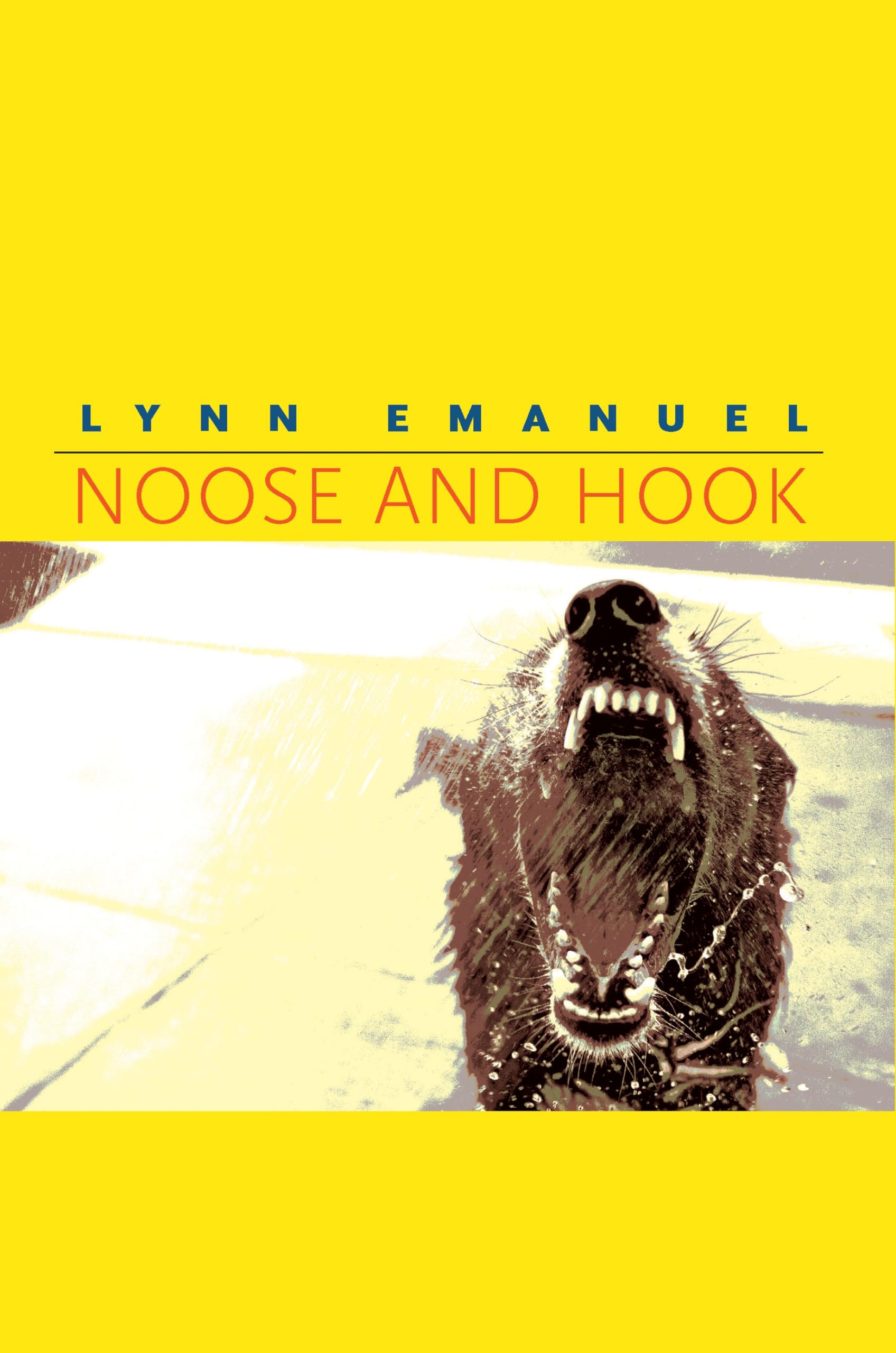 Noose and Hook - Pitt Poetry Series | Award-Winning Poetry Collection for Literature Lovers | Perfect for Book Clubs & Poetry Readings