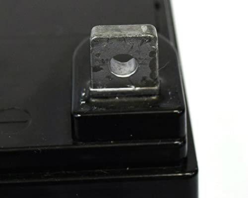 Raion Power 12V 35Ah U1 Replacement Battery for Electric Wheelchair & Mobility Scooter - Compatible with Rascal 600F Outdoor Scooter - 1 Pack - Perfect for Daily Commuting, Shopping, and Outdoor Activities