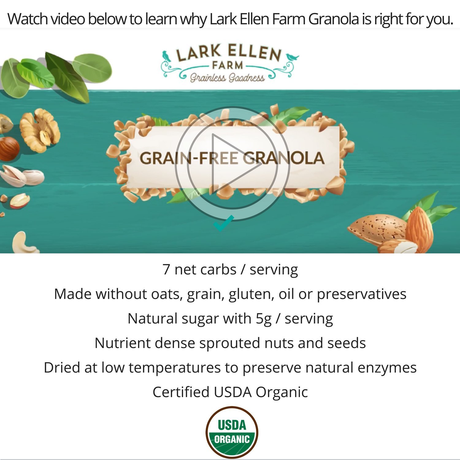 Organic Vegan Paleo Granola Bites - Grain Free, Sprouted Nuts & Seeds - Perfect for Healthy Snacking & Breakfast (Berrylicious, 8oz)