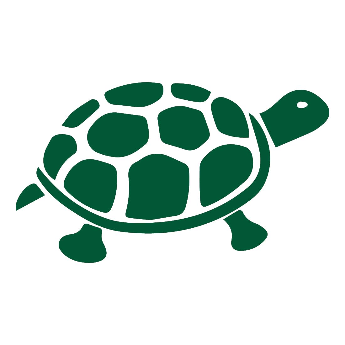 Premium Waterproof Vinyl Decal Stickers (Set of 2) - Tortoise Turtle Tropical Green Design for Laptop, Phone, Helmet, Car Window, Bumper, Mug, Cup, Door & Wall Decoration - Perfect for Home, Office, School & DIY Projects