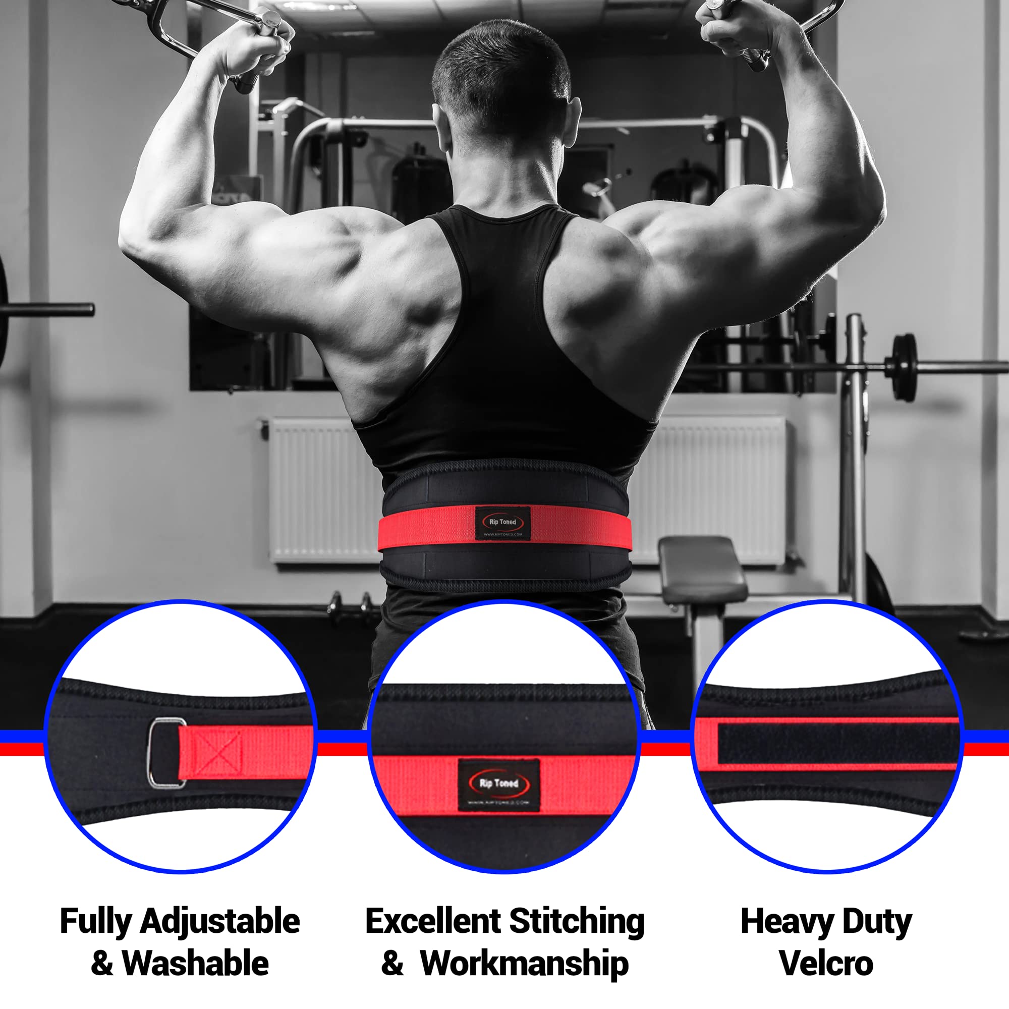 Rip Toned Weight Lifting Belt for Men & Women - Premium Powerlifting & Bodybuilding Belt with Back Support - Ideal for Squats, Deadlifts, Bench Press & Strength Training - Perfect for Gym, CrossFit & Home Workouts