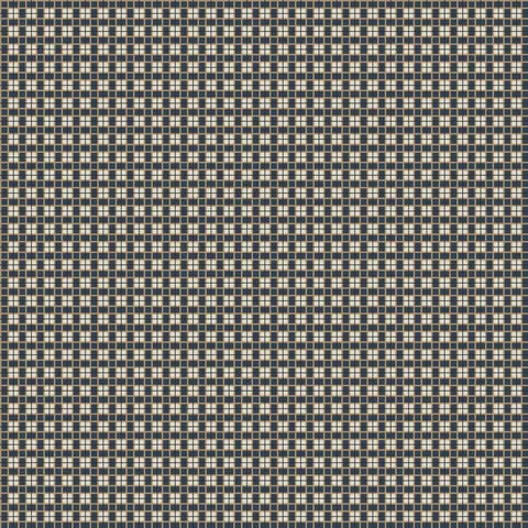 Comptoir De Toile 2 Yard Woven Fabric by Kim Hurley - Devonstone DV5166 Georgette Charcoal for Upholstery & Home Decor Projects