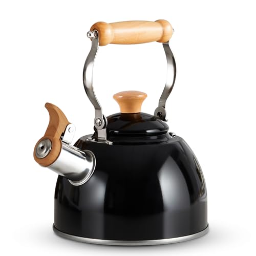 Black(1.6QT)