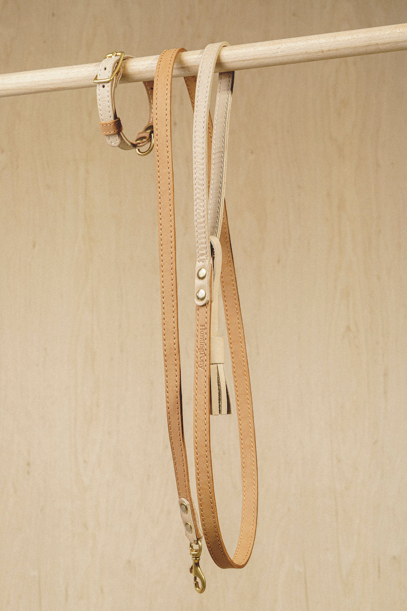 Premium Walk Kit - Walkony Leash & Beige Ginger Collar Set for Dogs | Comfortable & Durable Walking Accessories for Small, Medium & Large Breeds | Perfect for Daily Walks, Jogging & Outdoor Adventures
