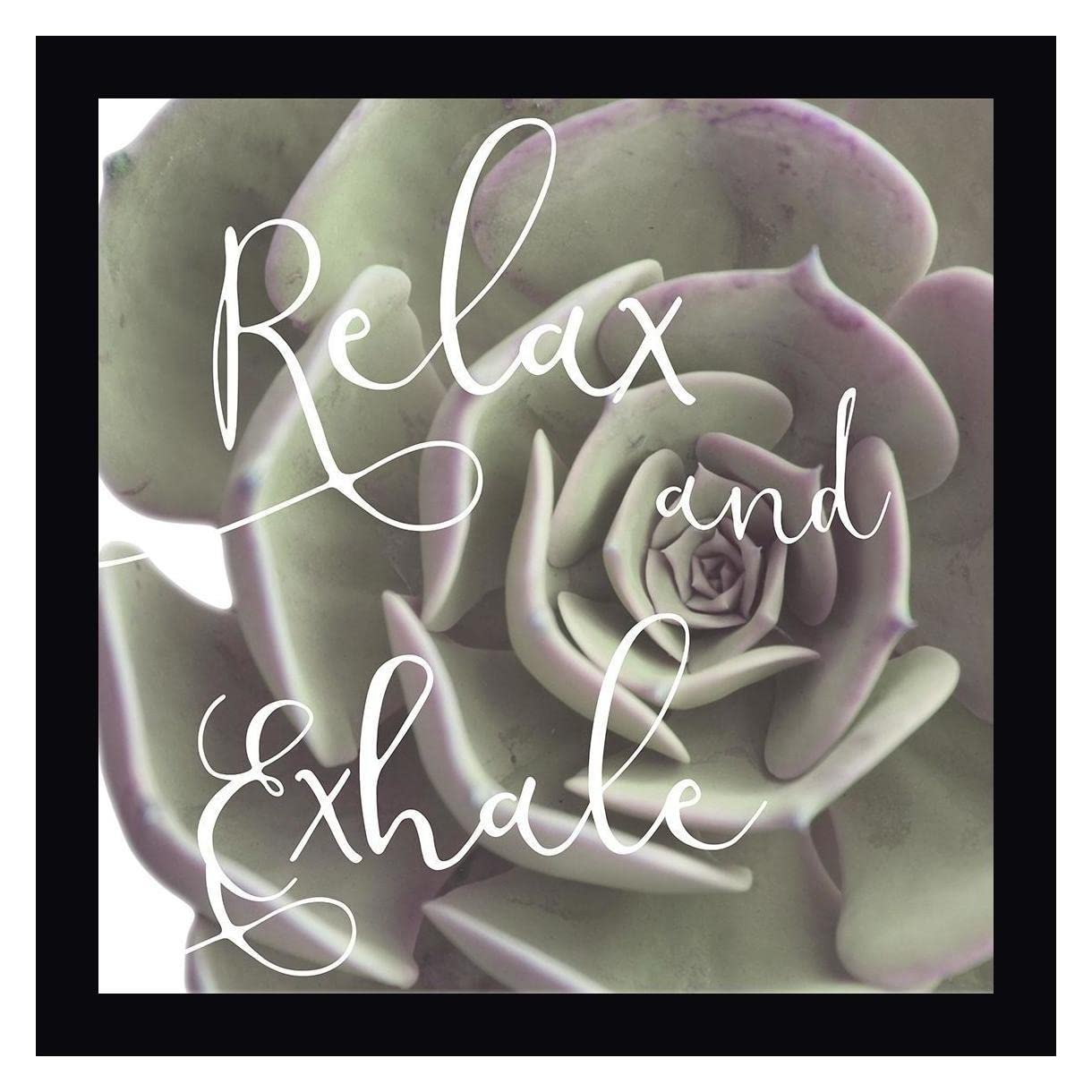 Exhaling Succulent 1 by Marcus Prime - 20x20 Inch Framed Canvas Wall Art Print with Black Frame - Ready to Hang - Perfect for Living Room, Bedroom, or Office Decor