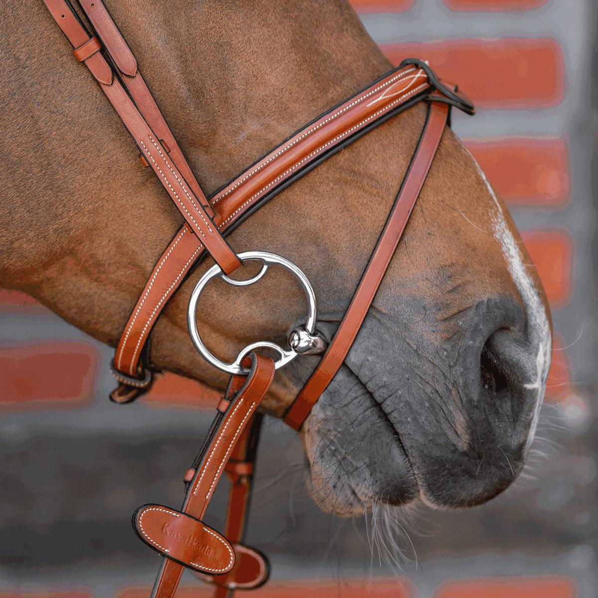 Herm Sprenger Dynamic RS Sensogan Double Jointed Multi Ring Snaffle Bit for Horses - Gentle Training & Dressage Riding - Perfect for Young Horses & Sensitive Mouths