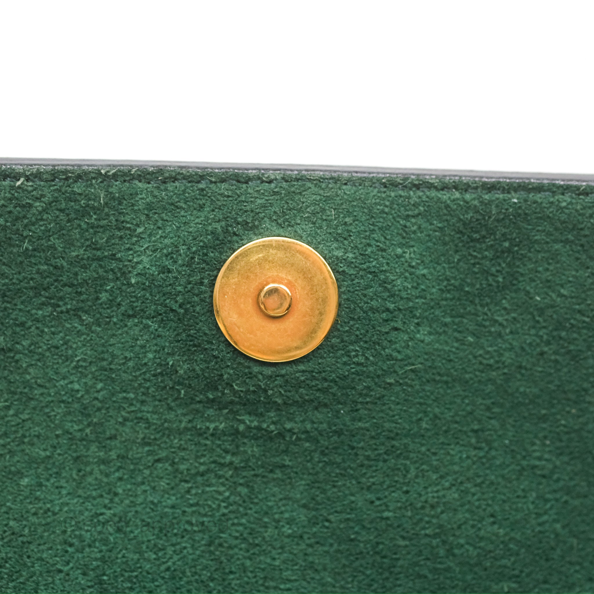Celine Nano Belt Bag in Amazone Grained Calfskin with Gold Hardware - Perfect for Everyday Use, Work & Travel