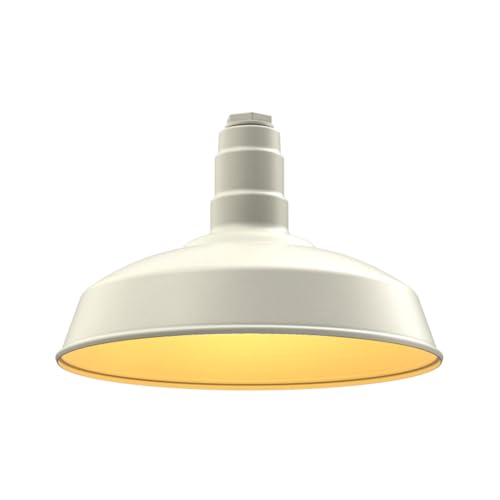 Cream / Brass