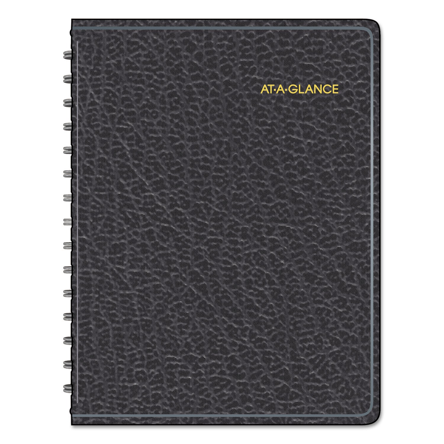 AT A GLANCE® 2024 Undated Daily Planner - 12 Month Appointment Book for 4 People (January to December), 10.88