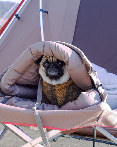 Premium Dog Sleeping Bag - Ultra Soft & Warm Pet Bed for Small to Large Dogs - Indoor & Outdoor Use for Camping, Travel, and Home Comfort