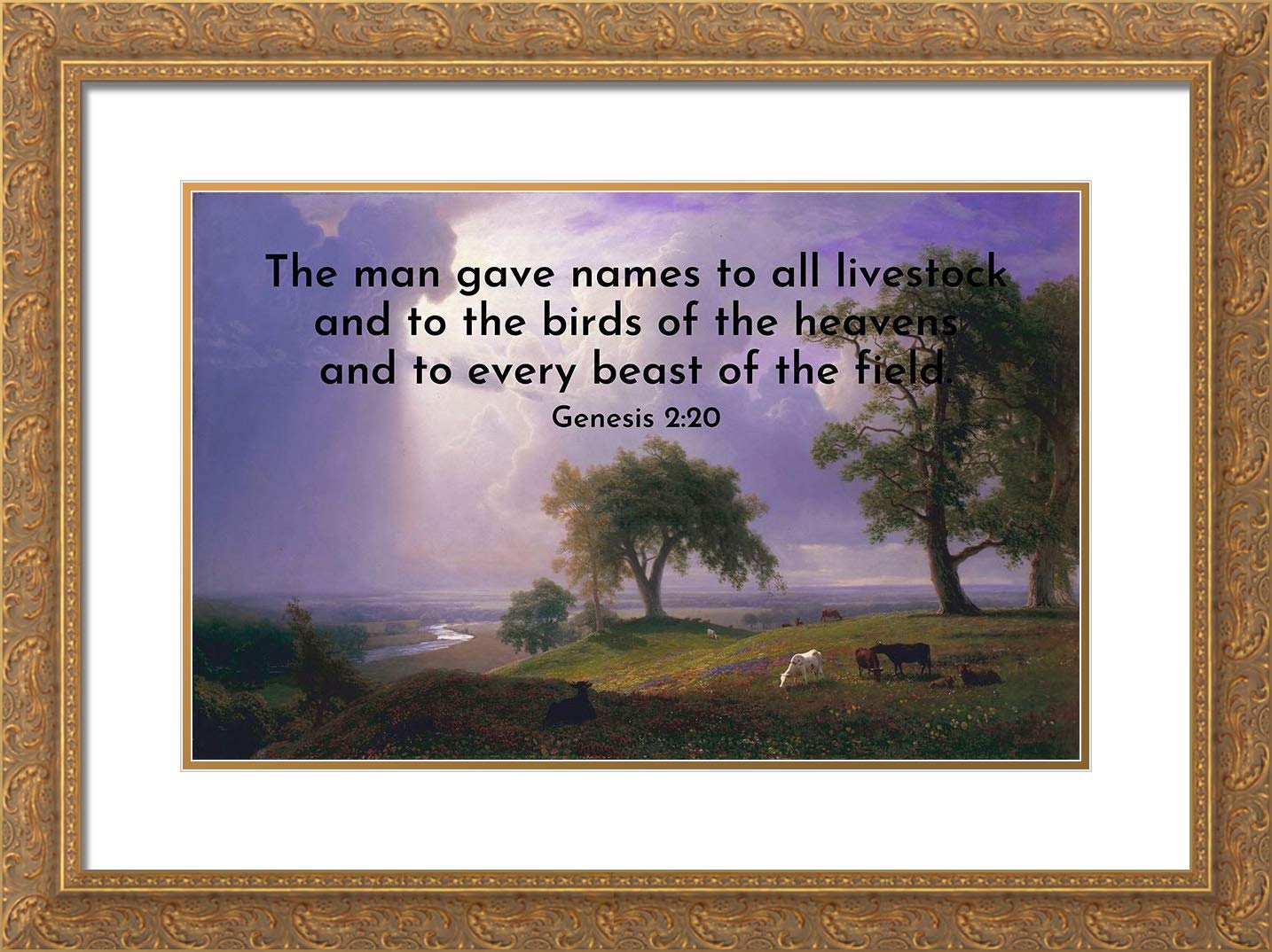Gold Framed Bible Verse Art Print - Genesis 2:20 for Home Decor