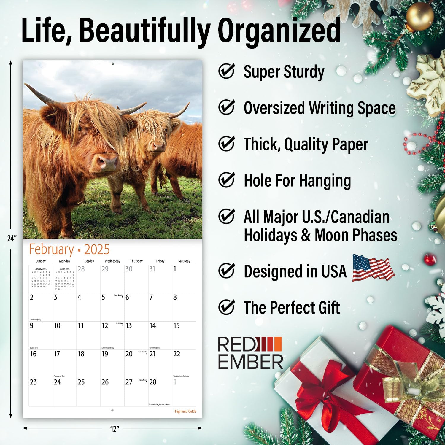 RED EMBER Highland Cattle 2025 Wall Calendar - 12 Month Large Format (12x24 Inches) with Thick Sturdy Paper - Perfect for Home, Office, or Gift Giving - Highland Cow Lover's Wall Planner for Kitchen, Classroom, or Farmhouse Decor