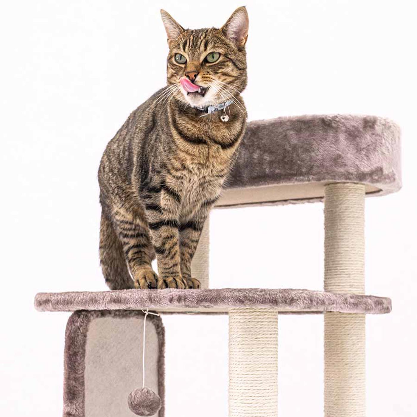 Little Rebels Little Rock 99cm Cat Tree - Multi-Level Cat Climbing Tower with Scratching Posts & Perches - Perfect for Indoor Play, Exercise & Relaxation for Cats & Kittens