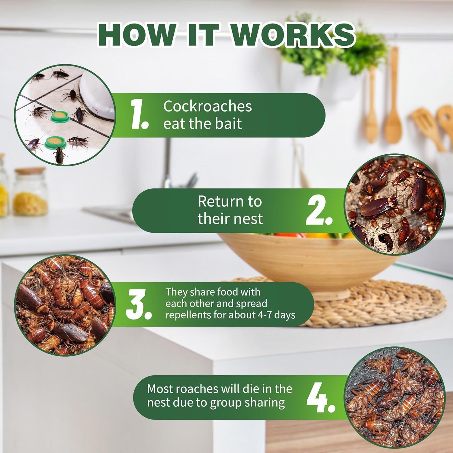 Homly Natural Cockroach Killer Gel - Powerful Roach Repellent for Home & Kitchen | Long-Lasting Pest Control Solution | Safe & Effective Cockroach Elimination (6-Pack) | Ideal for Kitchens, Bathrooms & Basements