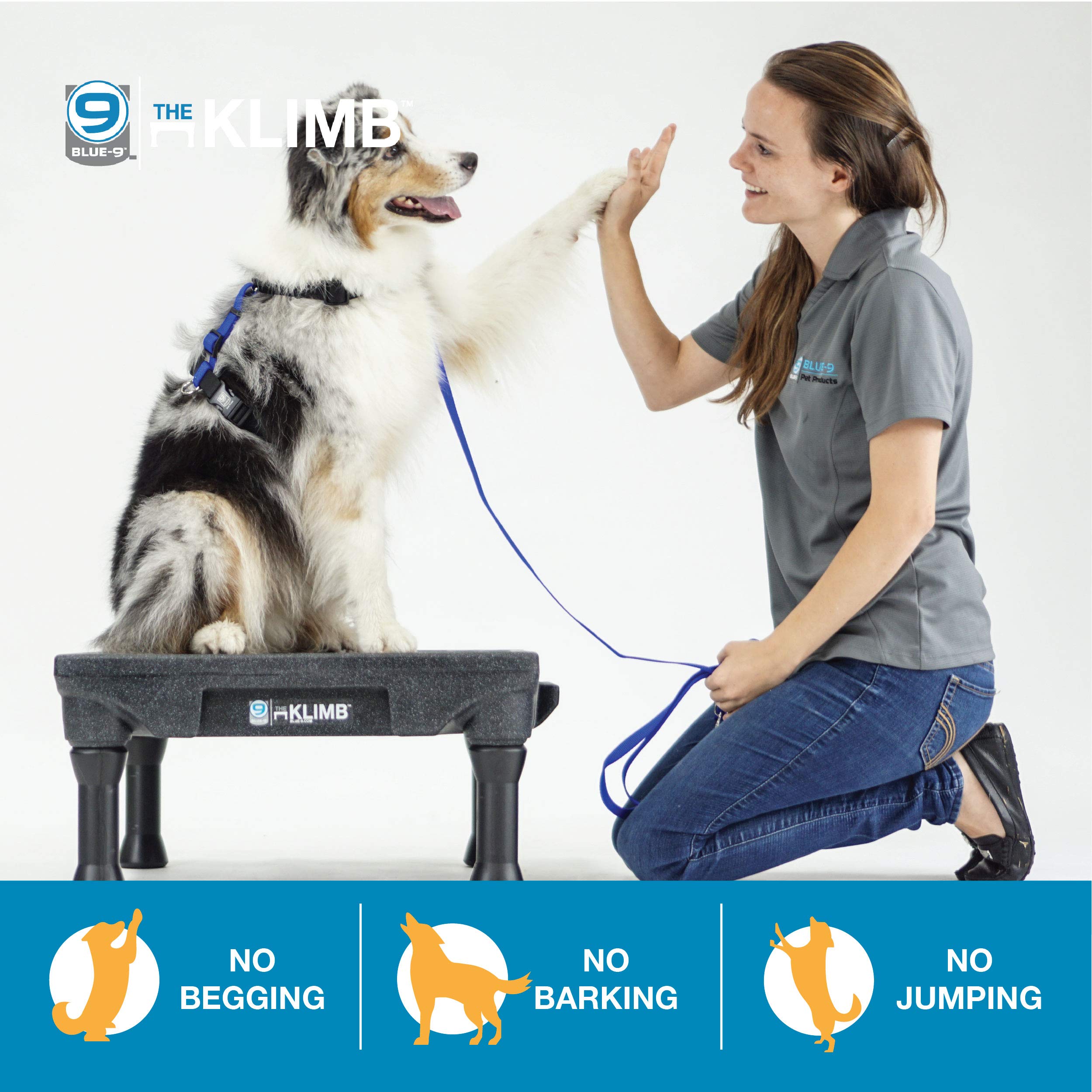 Blue-9 KLIMB Dog Training Kit - Professional Agility Platform & Accessories for Obedience Training | Perfect for Home Practice & Competition Preparation