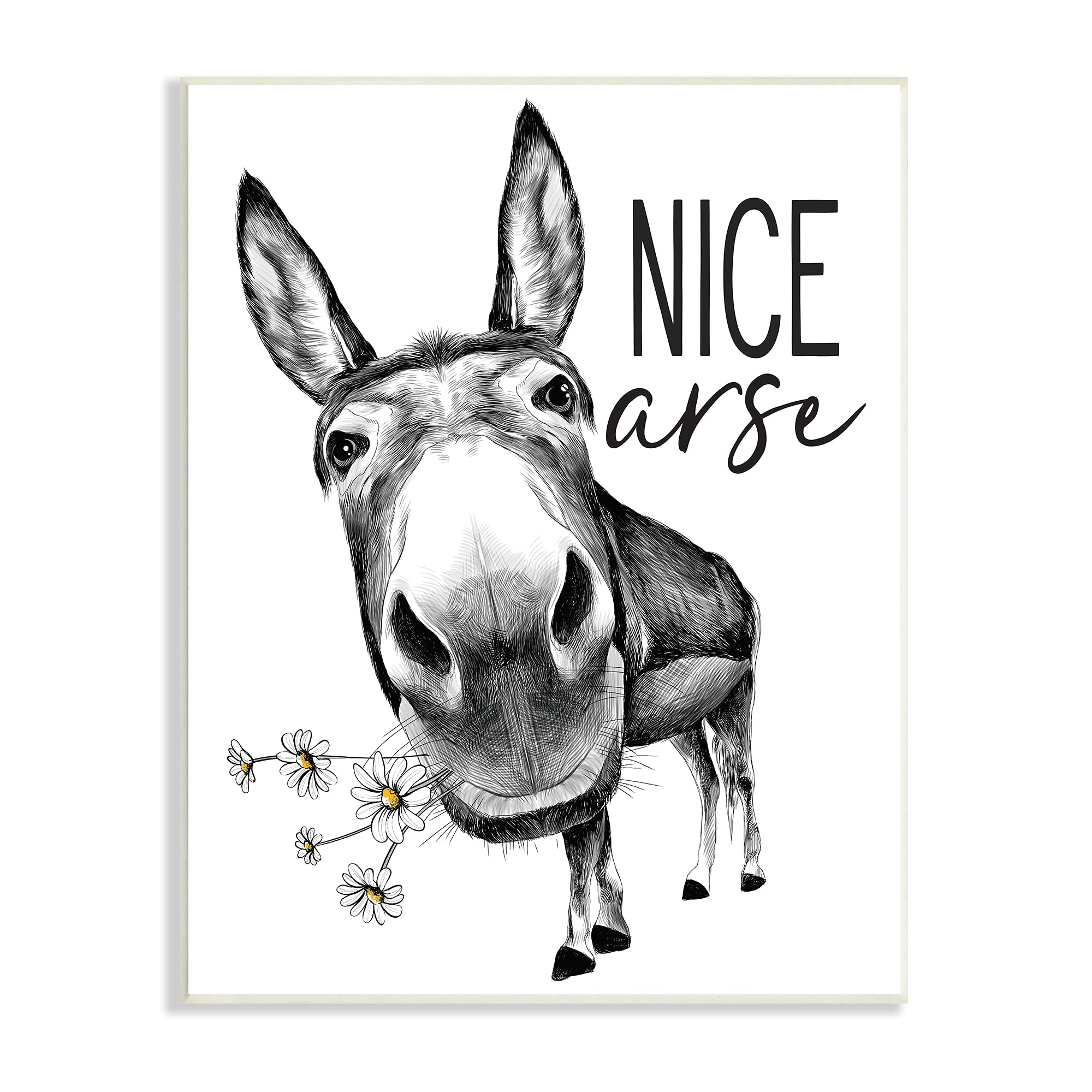 Funny Donkey Pun Wall Art - 'Nice Arse' Daisy Flowers Design by Stupell Industries | 10x15 Inch Black Wall Plaque | Perfect for Farmhouse Decor, Country Kitchen & Humorous Gift