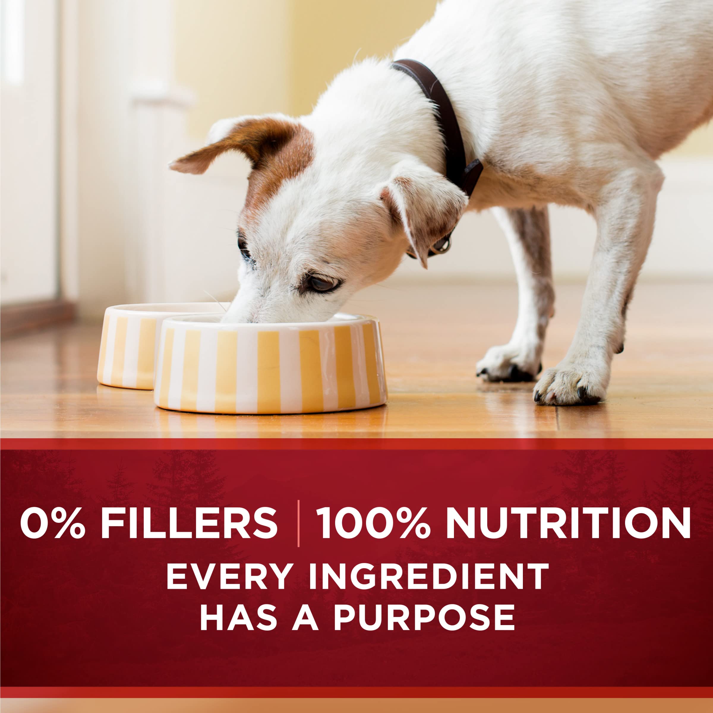Purina ONE High Protein Wet Dog Food - True Instinct Tender Cuts in Gravy with Real Beef & Wild Salmon (12 Pack, 13 oz Cans) | Premium Nutrition for Active Dogs & Puppies | Perfect for Training Rewards, Mealtime & Outdoor Adventures