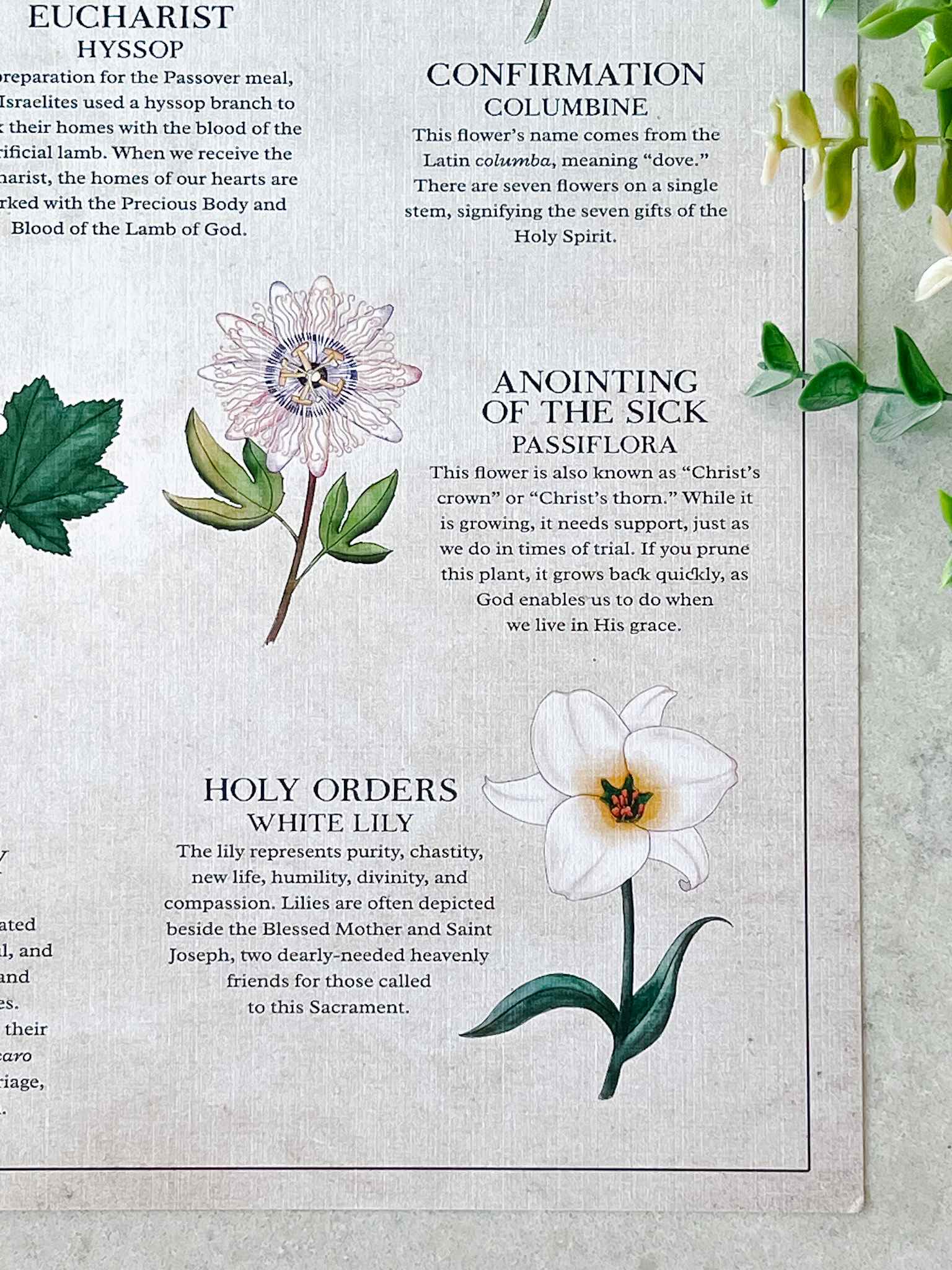 The Seven Sacraments Catholic Religious Art Print - Perfect for Home Decor, Church Display & Gift Giving