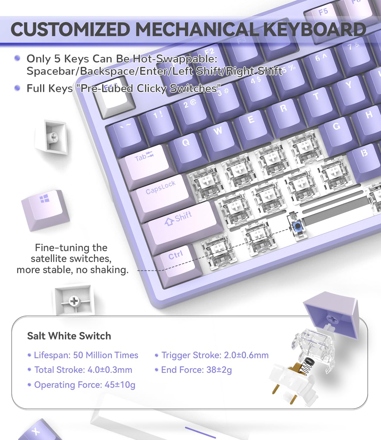 AK873PRO-XINMENG X87 75% Wired Gaming Keyboard with Custom Pre-Lubed Switches | TKL 80% Gasket Mount Mechanical Keyboard | LIGHTSYNC RGB Backlit | 87-Key Compact Design | PBT Keycaps | USB-C Coiled Cable for PC & Mac (Purple) - Perfect for Esports, Typing & Office Work