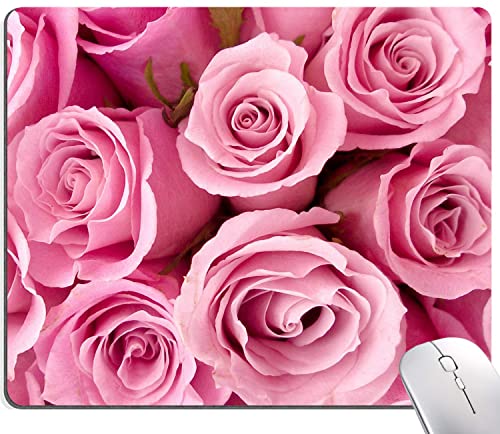 Pink Rose
