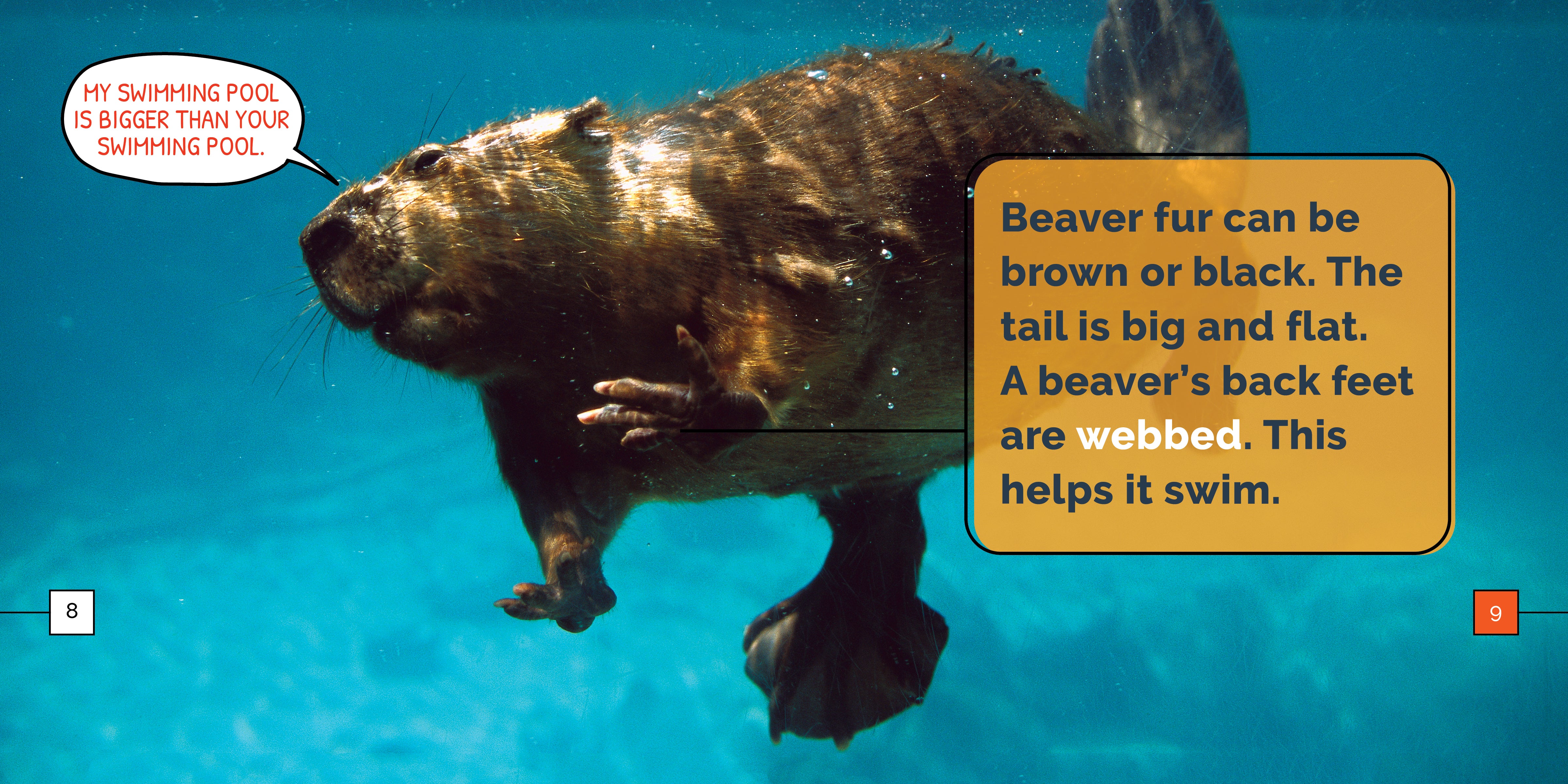 Beavers Marvels - Premium Handmade Wooden Toys & Gifts for Kids | Perfect for Birthday Presents, Christmas Gifts & Educational Playtime