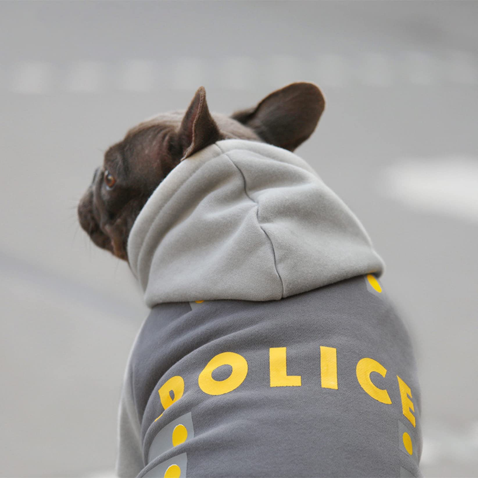 Stylish Dog Hoodie - Cute Puppy Sweater & Jacket for Small Dogs | Chihuahua & Pet Cosplay Costume | Soft Cotton Coat for Daily Walks & Photo Shoots