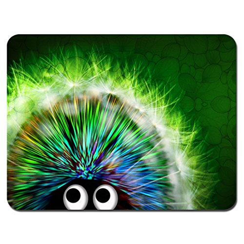 Cute Porcupine