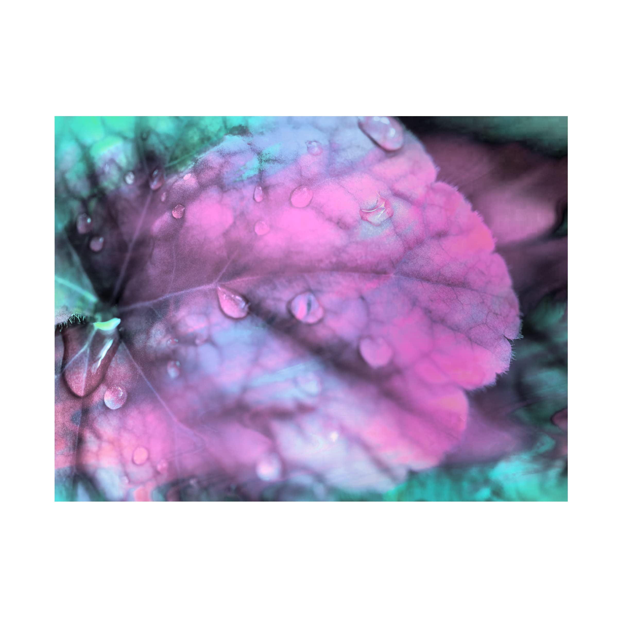 Trademark Fine Art 'Celestial Dew Drops III' Canvas Wall Art by Eva Bane - Modern Abstract Painting for Living Room, Bedroom & Office Decor