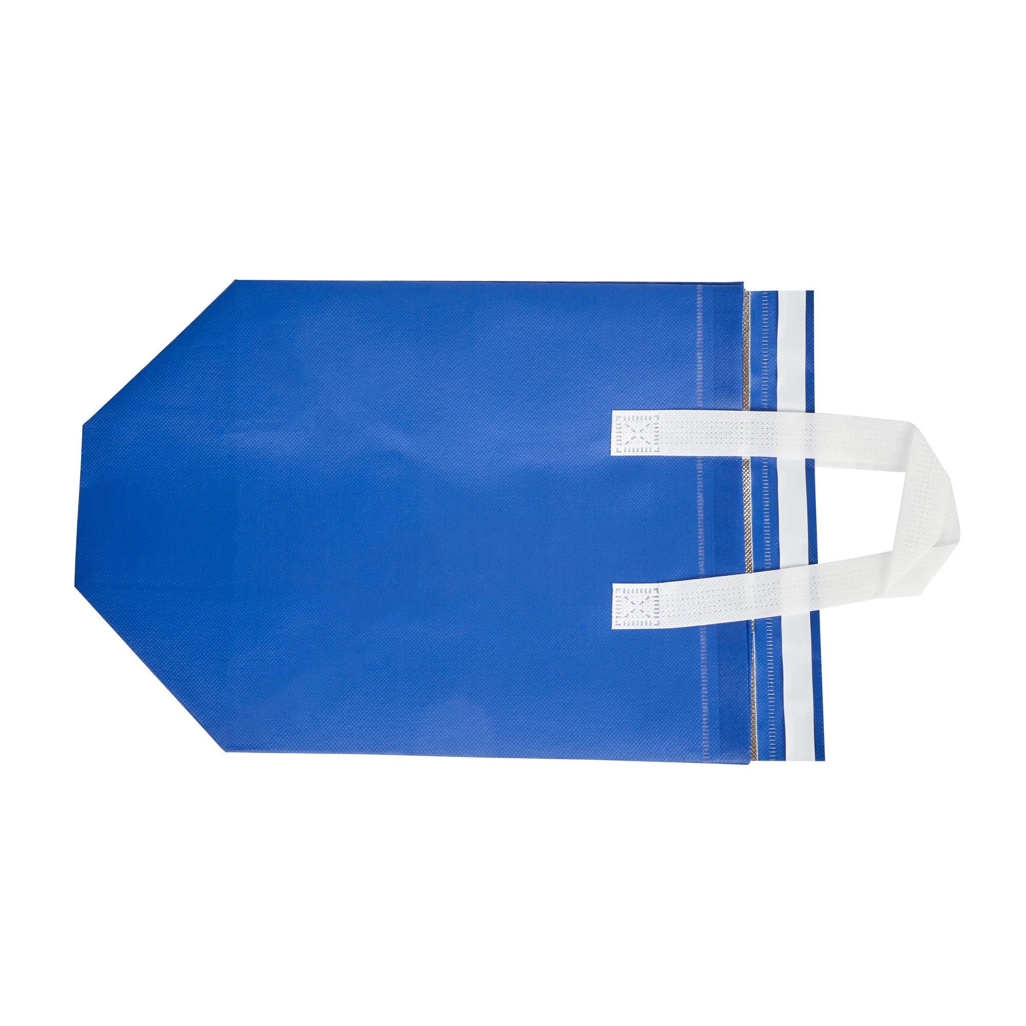 Premium Blue Insulated Takeout Bags - Tamper Evident Food Delivery Bags (10.25