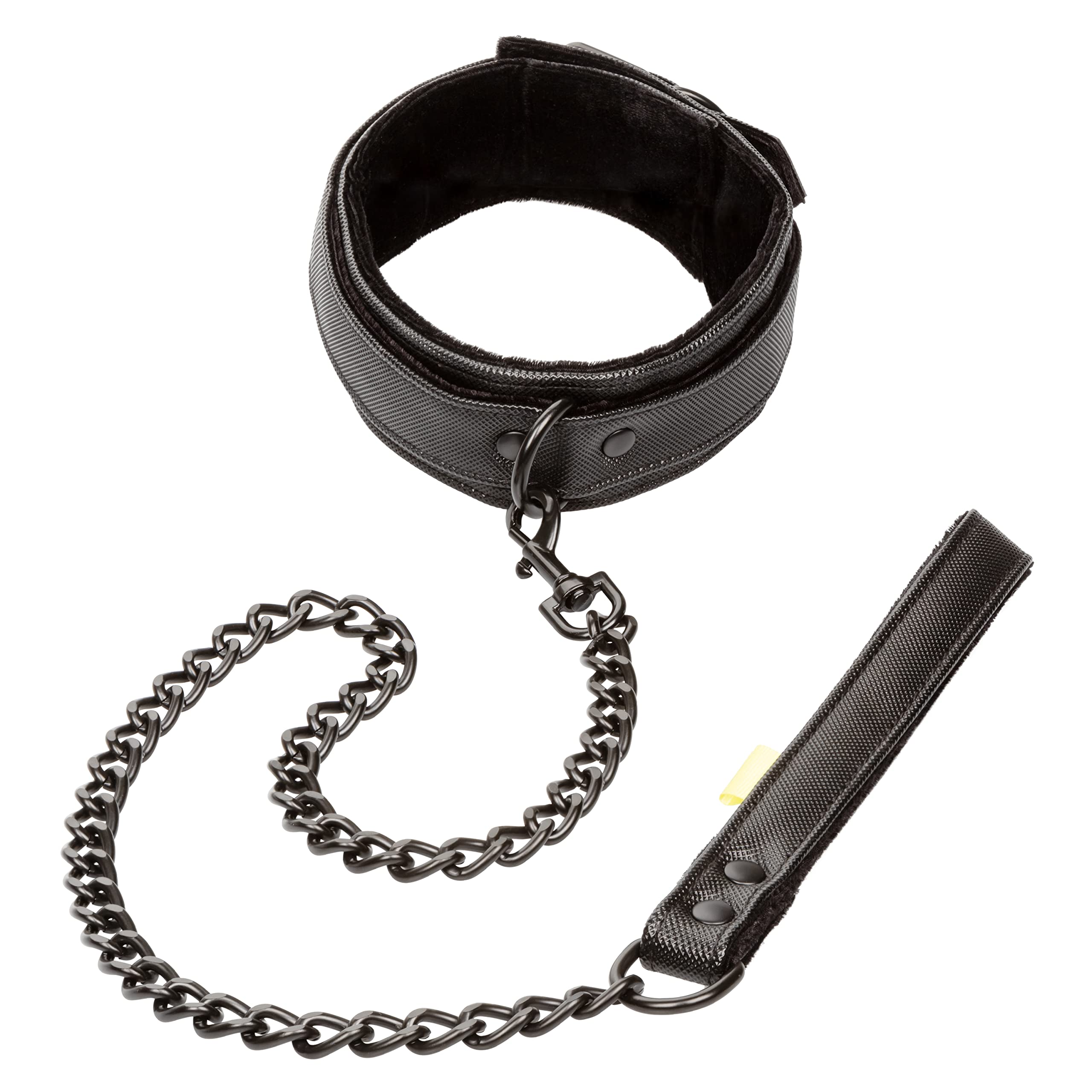 CalExotics Boundless Collar with Leash - Adjustable Pet Necklace for Dogs & Cats - Perfect for Training, Walks & Playtime