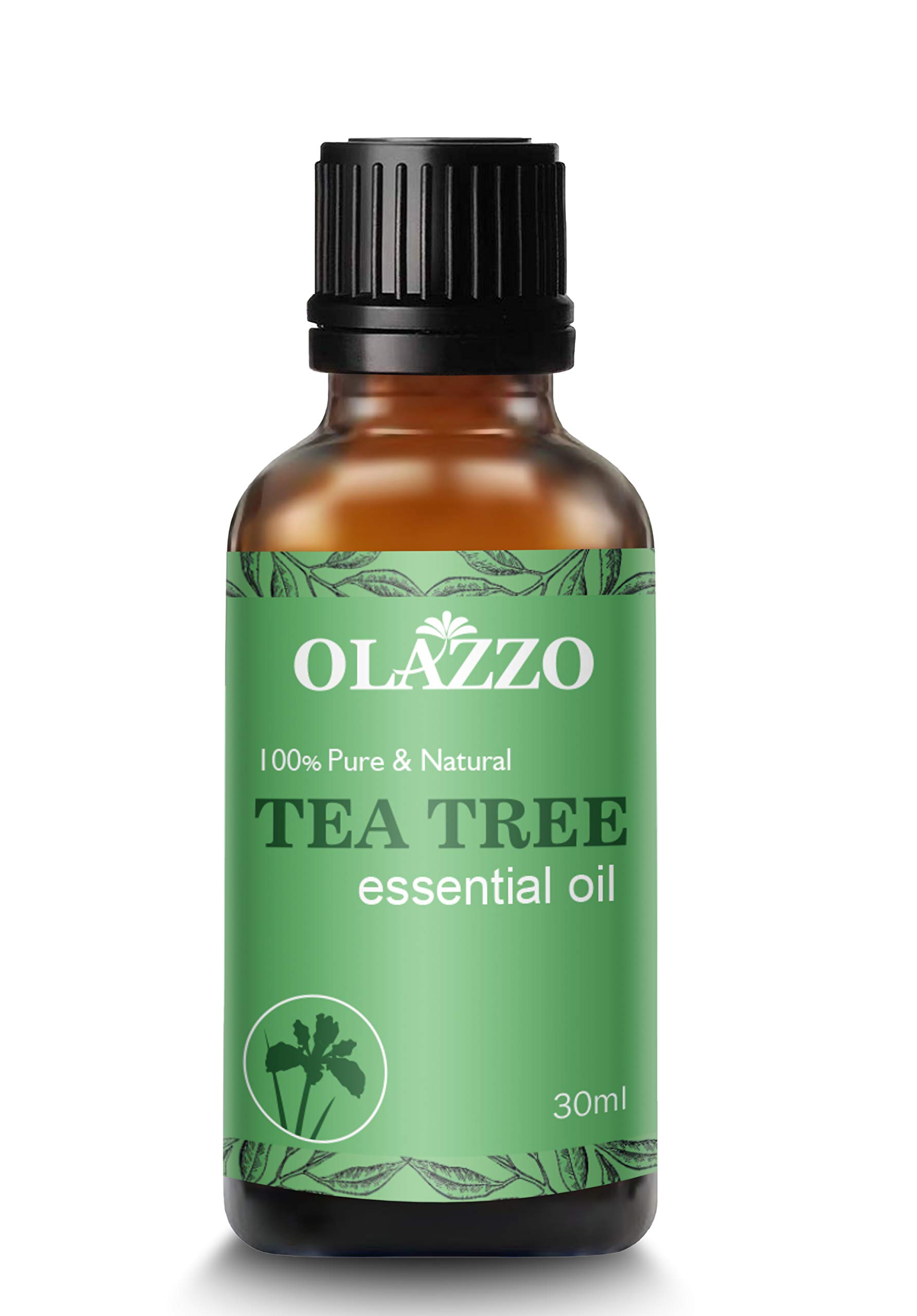 Pure Tea Tree Essential Oil for Skin, Hair & Face - 100% Natural Steam Distilled Treatment for Acne, Dandruff & Healthy Nails | 30ml Organic Oil for Aromatherapy, DIY Beauty & Home Remedies