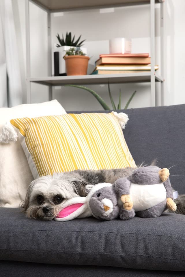 Midlee Easter Squirrel Bunny Plush Large Dog Toy - Soft & Durable Chew Toy for Big Dogs - Perfect for Easter Gifts, Playtime & Training (Brown)