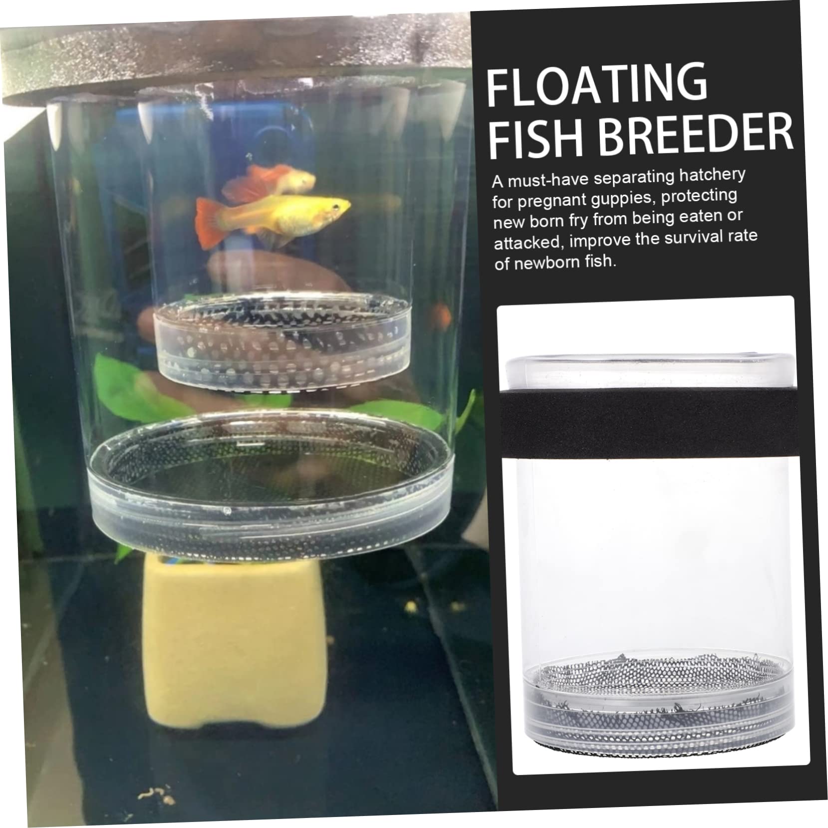 Floating Fish Breeding Box - Aquarium Hatchery Incubator for Fish Tank, Fishbowl & Aquatainer | Ideal for Hatching, Breeding & Isolating Fish | Perfect for Home Aquariums & Fish Farms