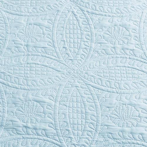 Coin Pattern Spa-blue