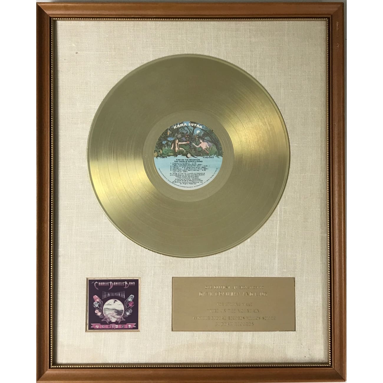 Charlie Daniels Band - Fire On The Mountain Vinyl Record (1975 Original Pressing, Buddah Records) | Classic Southern Rock Album for Music Collectors & Vintage Vinyl Enthusiasts | Perfect for Home Listening & Record Collections