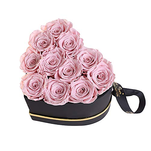 Luxury Long Lasting Preserved Roses in a Box - Grand Heart Blush Rose Gift for Anniversary, Valentine's Day, Wedding, Home Decor, and Romantic Surprises
