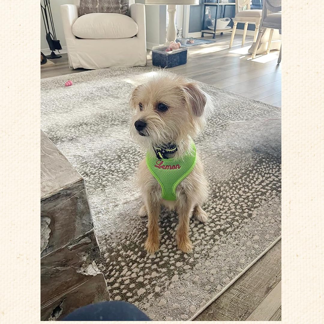 **Personalized Dog Harness with Embroidered Pet Name – Soft Padded Air Mesh No-Pull Adjustable Harness for Small & Medium Dogs – Made in USA (Small, Green) – Perfect for Walks, Training & Outdoor Adventures**