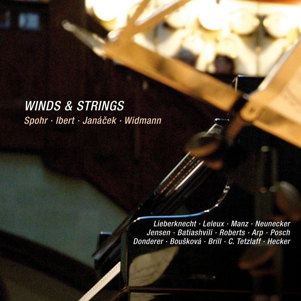 Winds & Strings - Premium Wooden Wind Chimes for Outdoor & Garden Decor - Perfect for Patio, Porch, and Backyard Relaxation