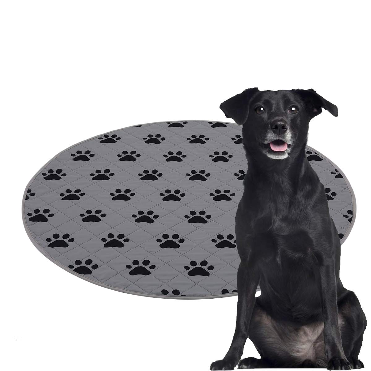 SPXTEX Washable Dog Crate Pads - Non-Slip Waterproof Puppy Training Pee Pads for Small Dogs, 27