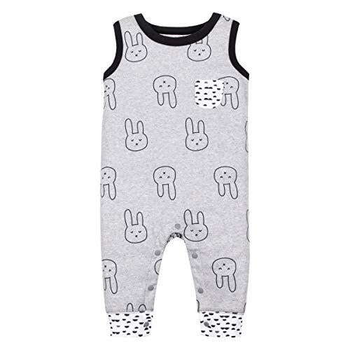 Gray Bunny