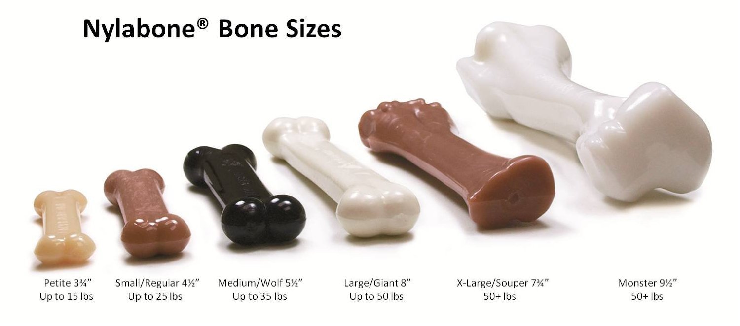 Nylabone Dura Chew Souper Chicken Flavored Dog Chew Toys (3 Pack) - Long-Lasting Dental Chews for Medium & Large Dogs - Perfect for Aggressive Chewers & Teething Puppies