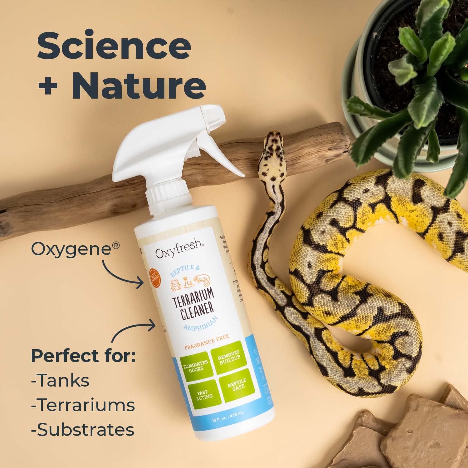 Oxyfresh Premium Terrarium Cleaner for Reptiles & Amphibians | Safe, Fast-Acting Odor & Waste Remover | Streak-Free Glass Cleaner | Non-Toxic, Bleach-Free Formula | Ideal for Terrarium, Vivarium & Pet Habitat Maintenance
