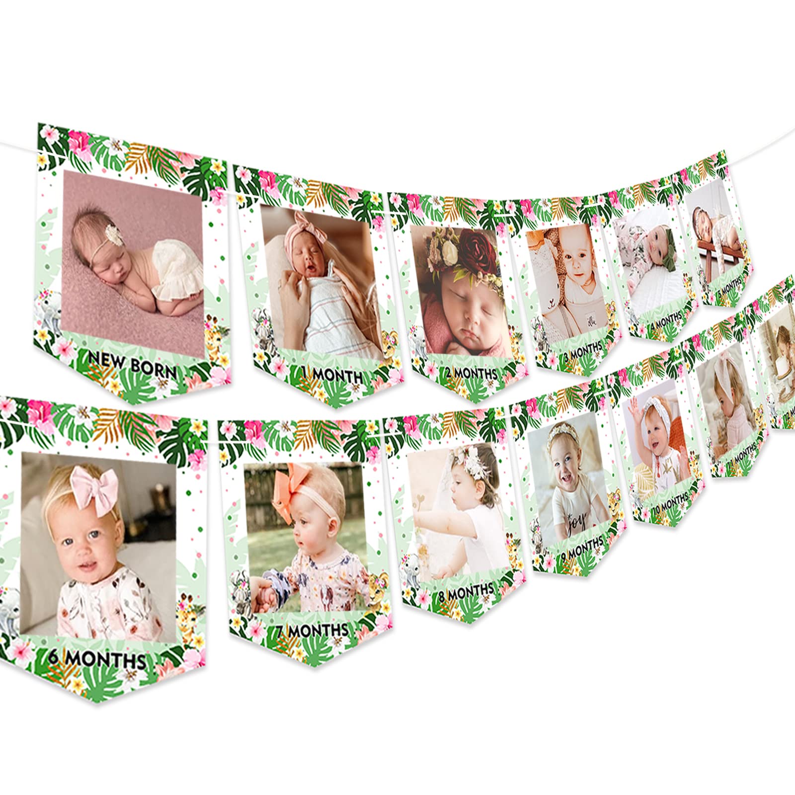 Wild Safari Photo Banner for Baby Girl's 1st Birthday | Jungle Themed Monthly Milestone Banner | Newborn to 12 Months Growth Chart Decor | Perfect for First Birthday Parties & Nursery Wall Decor