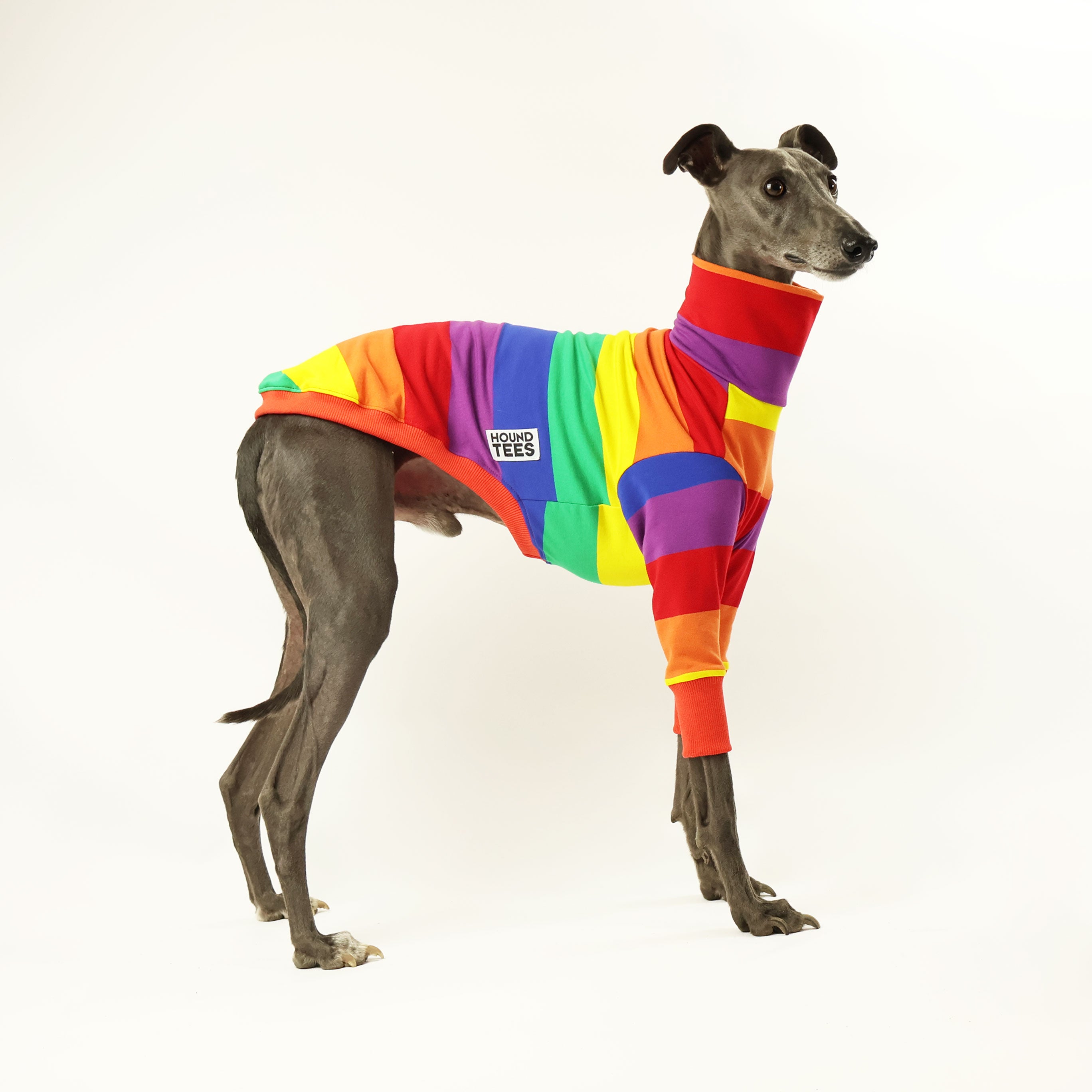Whippet Jellybeans Long Sleeve Sweater for Women - Cozy Knit Pullover for Fall & Winter - Perfect for Casual Outings, Office Wear, and Dog Walks